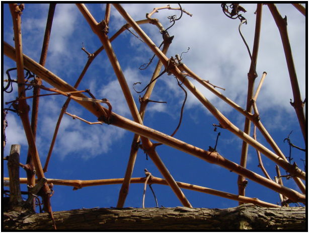 place: Australia: Victoria: Melbourne: Melbourne city : s-dsc022717.jpg