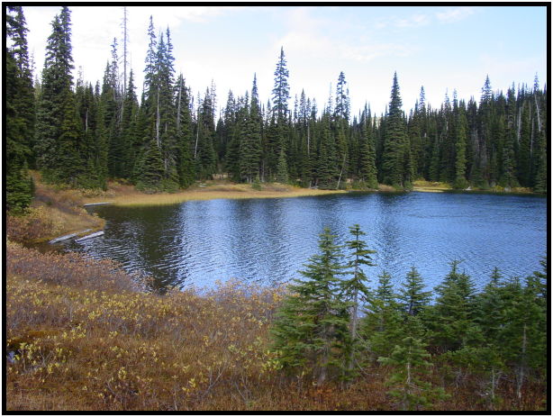 place: Canada: British Columbia: Manning Park: Poland Lake : s-dsc024366.jpg