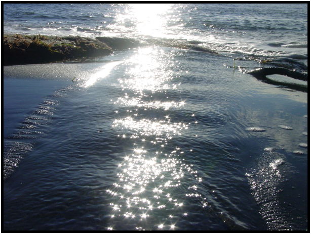 site: water: beach : s-dsc024477.jpg