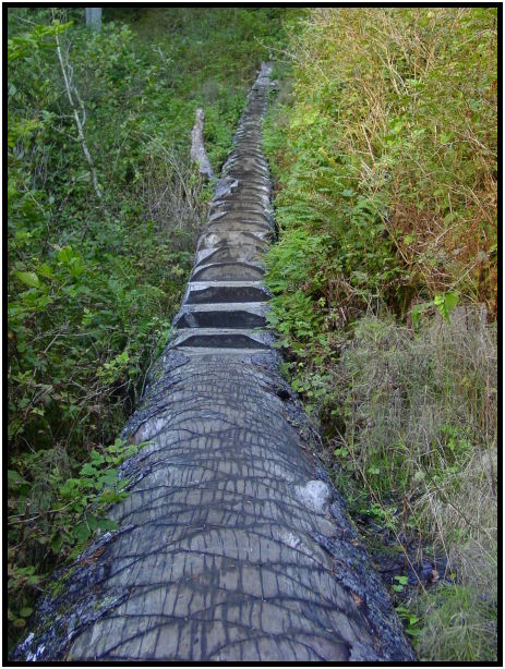 site: man made: stairs : s-dsc024478.jpg