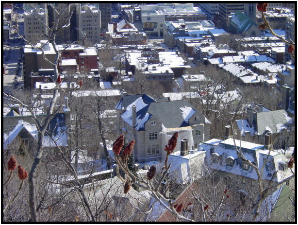 site: earth: snow : s-dsc021405.jpg