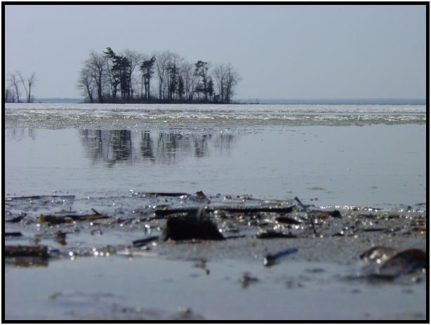 site: water: river : s-dsc021871.jpg