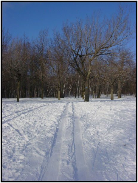 site: earth: snow : s-dsc021149.jpg