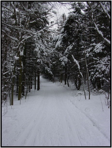 person: action: skiing : s-dsc021336.jpg