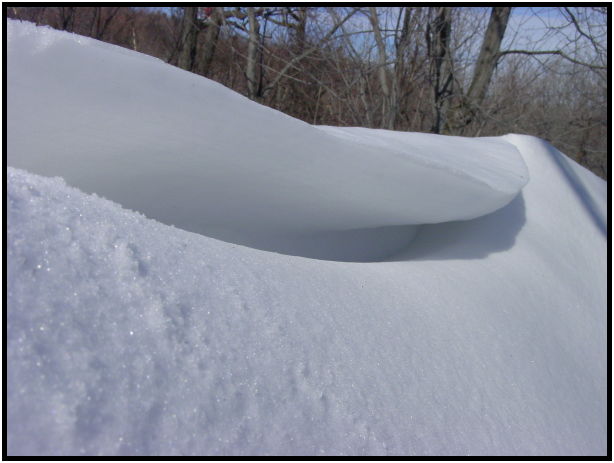 site: earth: snow : s-dsc021422.jpg