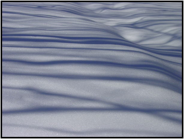 misc: pattern : s-dsc021455.jpg