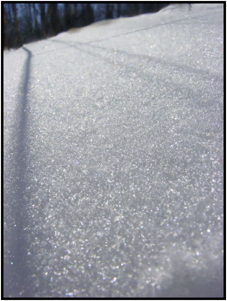 site: earth: snow : s-dsc021466.jpg