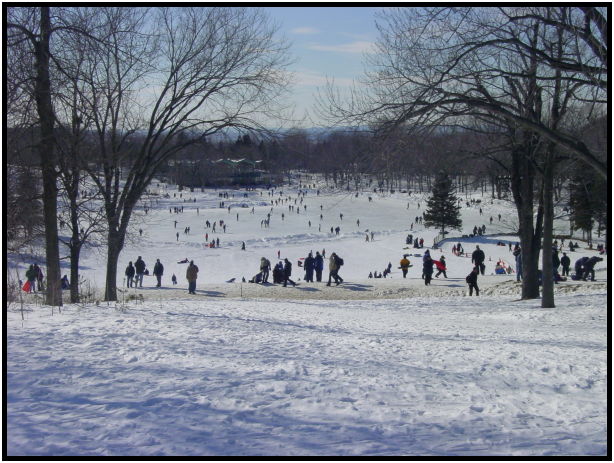 person: action: ice skating : s-dsc021467.jpg