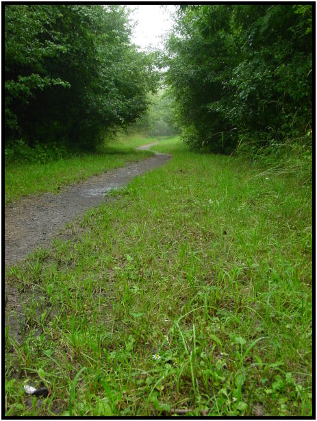 site: landscape: park : s-dsc023809.jpg