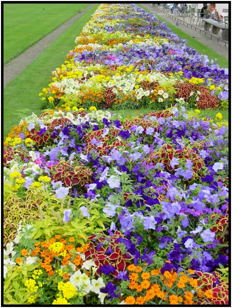 place: France: Paris: Paris city : s-dsc023505.jpg