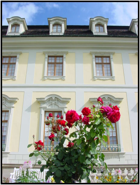 place: Germany: Ludwigsburg : s-dsc023406.jpg