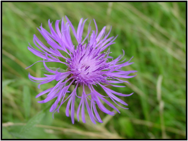 place: Germany: Stuttgart: Stuttgart city : s-dsc023379.jpg