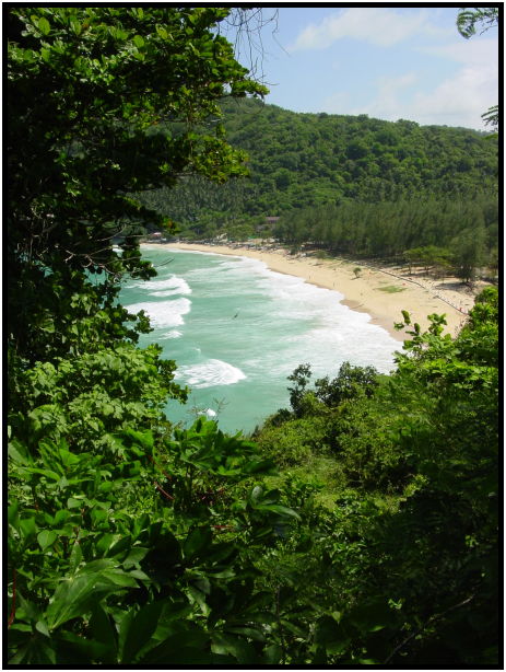 site: water: ocean : s-dsc022809.jpg