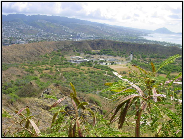 site: water: ocean : s-dsc022286.jpg