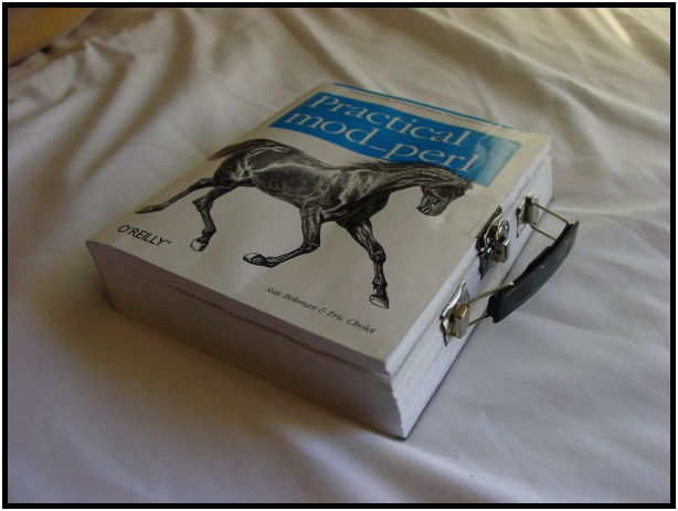 place: USA: Oregon: Portland: Portland city : s-dsc023906.jpg