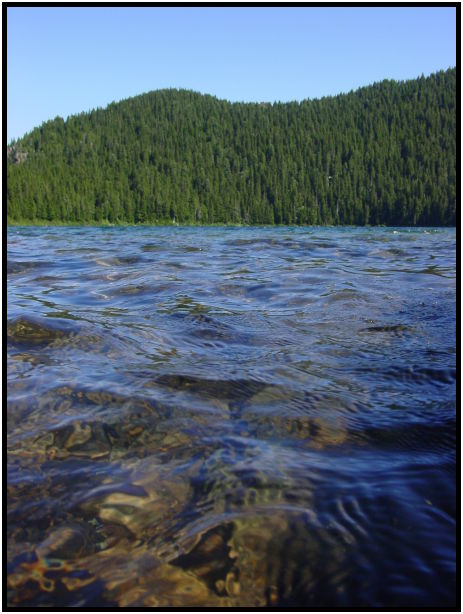 place: USA: Washington: Seattle: Mt. Rainier : s-dsc023971.jpg