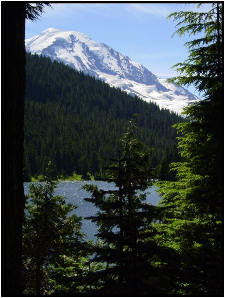 place: USA: Washington: Seattle: Mt. Rainier : s-dsc023981.jpg