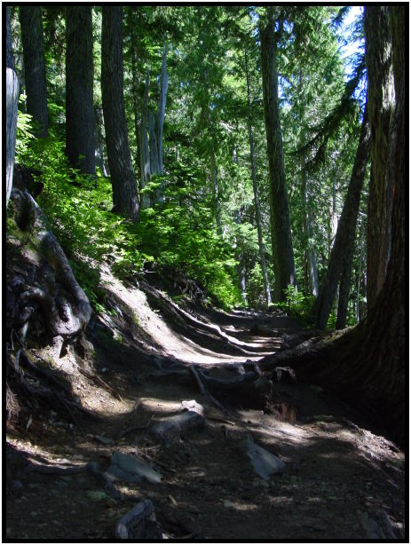 place: USA: Washington: Seattle: Mt. Rainier : s-dsc023986.jpg