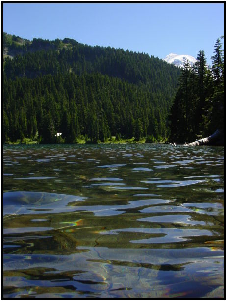 place: USA: Washington: Seattle: Mt. Rainier : s-dsc024020.jpg