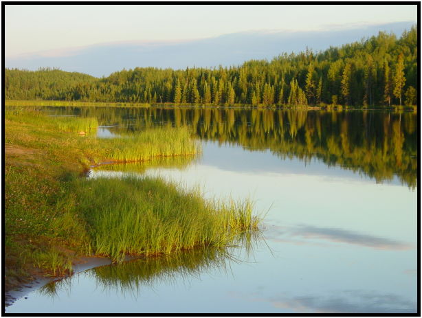 misc: reflection : s-dsc025906.jpg