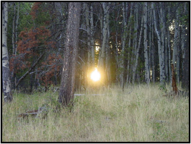 site: sky: sun : s-dsc026959.jpg