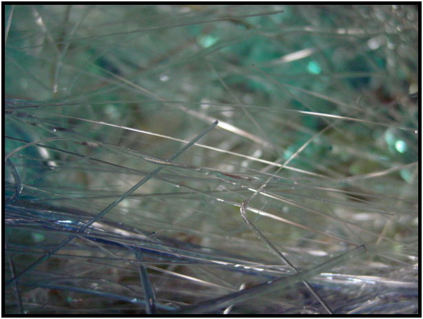 place: Canada: British Columbia: Mayne Island : s-dsc025290.jpg