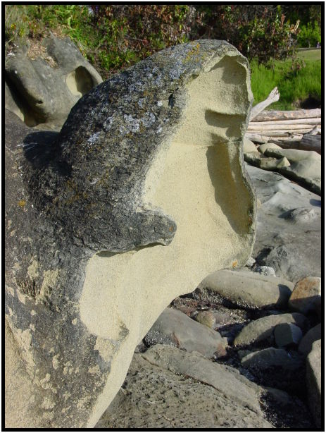 place: Canada: British Columbia: Mayne Island : s-dsc025310.jpg