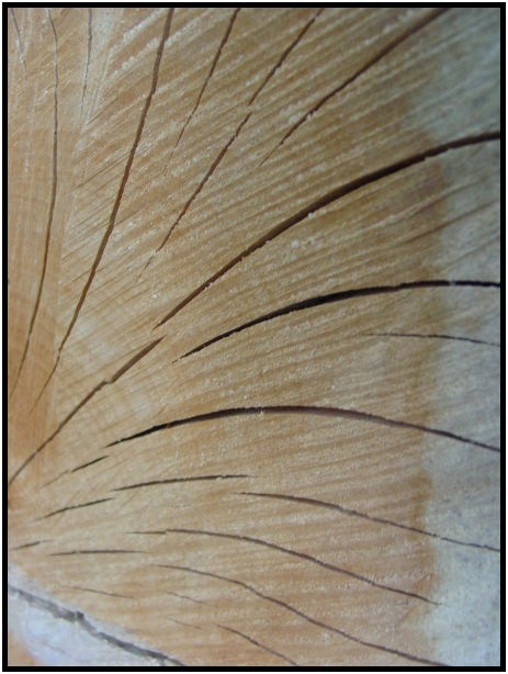 place: Canada: British Columbia: Mayne Island : s-dsc025316.jpg