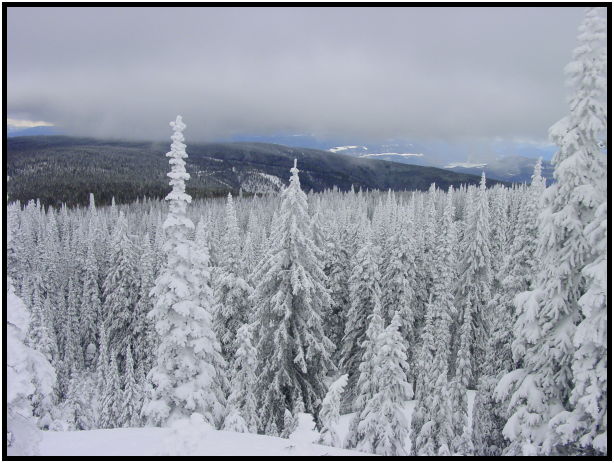 place: Canada: British Columbia: Vernon: Silver Star : s-dsc024534.jpg