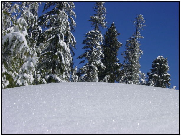 place: Canada: British Columbia: Vancouver: Mt. Cypress : s-dsc024906.jpg