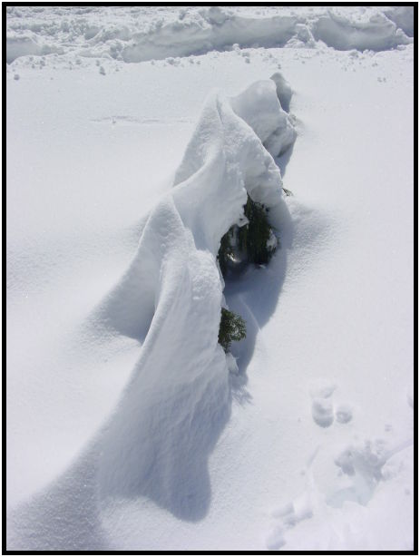 site: earth: snow : s-dsc024916.jpg