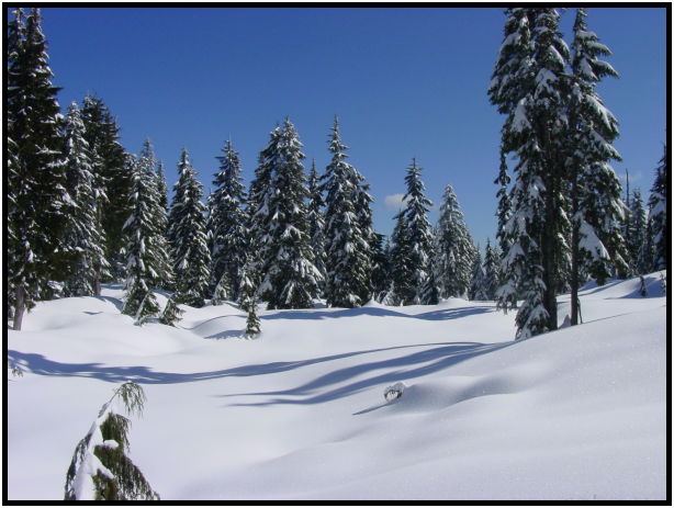 site: earth: snow : s-dsc024929.jpg