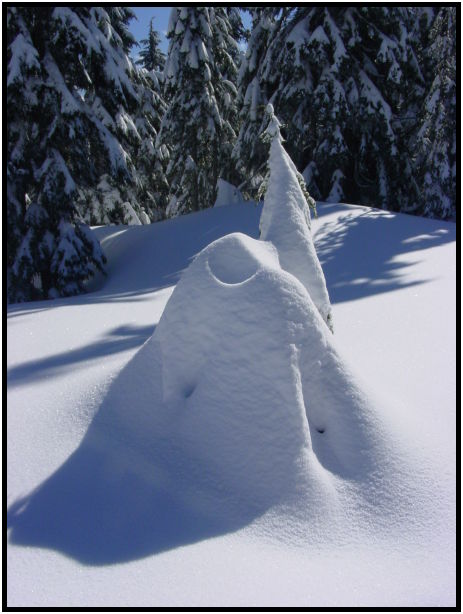 site: earth: snow : s-dsc024936.jpg