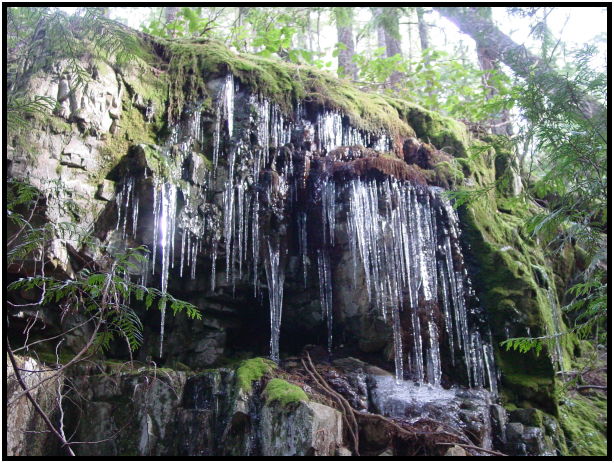 place: Canada: British Columbia: Vancouver: Deeks Bluffs : s-dsc024744.jpg