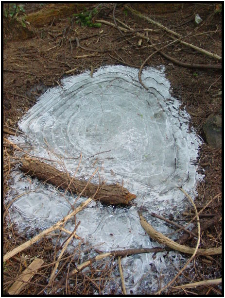 site: earth: ice : s-dsc024750.jpg