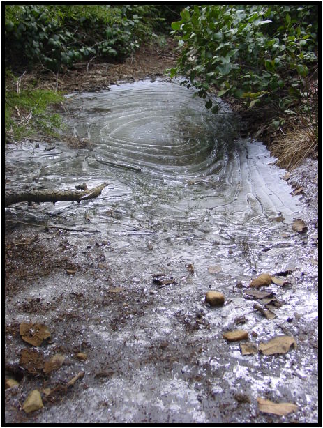 site: earth: ice : s-dsc024784.jpg