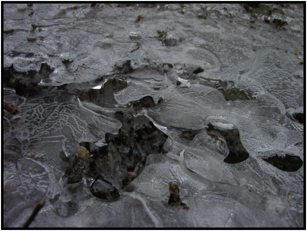 site: earth: ice : s-dsc024793.jpg