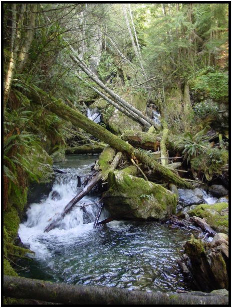 place: Canada: British Columbia: Vancouver: Deeks Bluffs : s-dsc024820.jpg