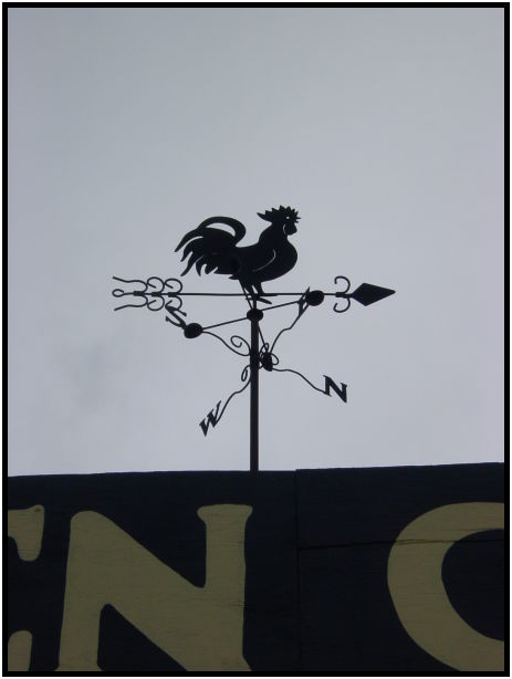 misc: weathercock : s-dsc026514.jpg