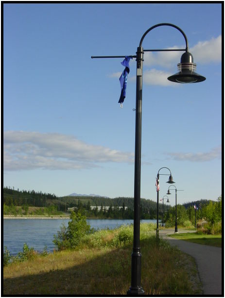 site: man made: street light : s-dsc026117.jpg