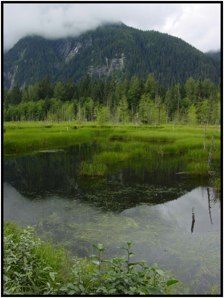 place: USA: Alaska: Fish Creek : s-dsc026834.jpg