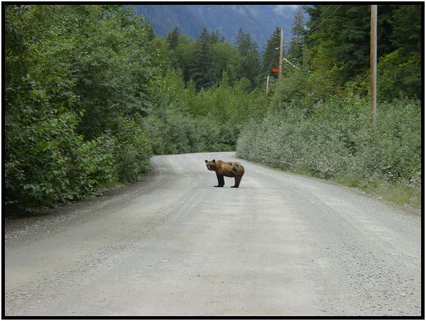 place: USA: Alaska: Fish Creek : s-dsc026844.jpg