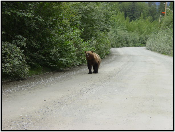 place: USA: Alaska: Fish Creek : s-dsc026846.jpg