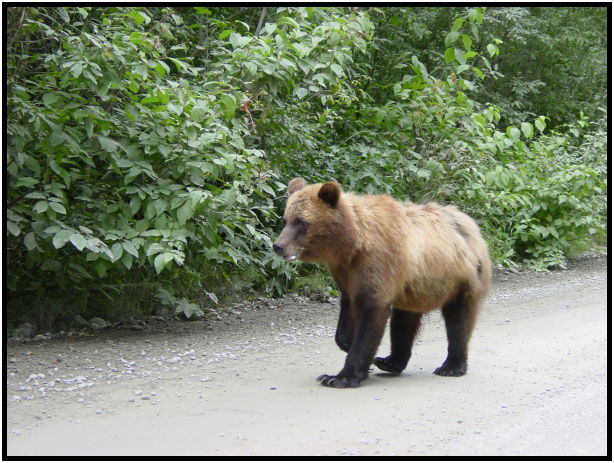 place: USA: Alaska: Fish Creek : s-dsc026847.jpg