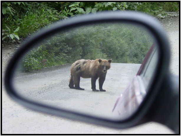 place: USA: Alaska: Fish Creek : s-dsc026851.jpg