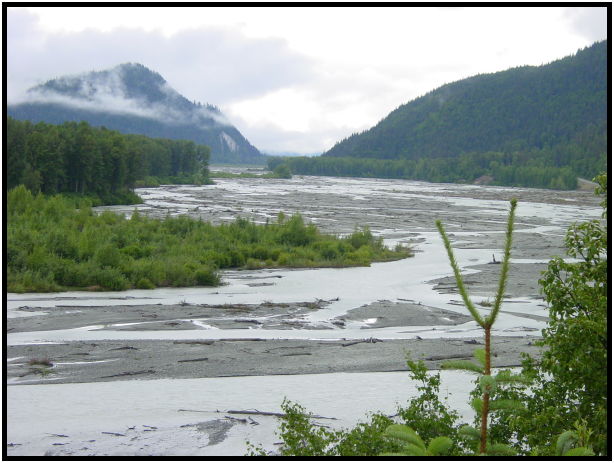 place: USA: Alaska: Haines : s-dsc026322.jpg