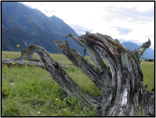 site: landscape: mountain : s-dsc026864.jpg