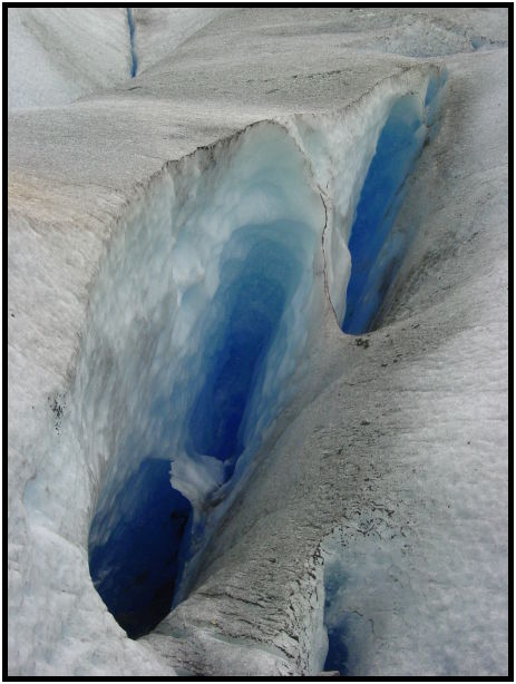 place: USA: Alaska: Mendellhall Glacier : s-dsc026386.jpg