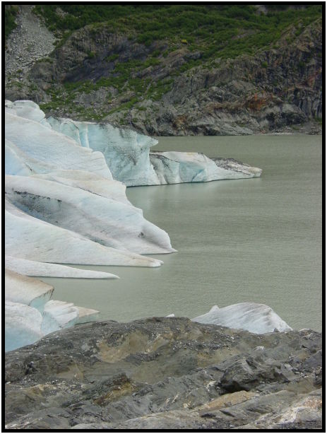 place: USA: Alaska: Mendellhall Glacier : s-dsc026388.jpg