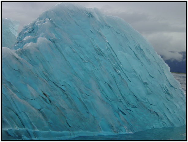place: USA: Alaska: Tracy Arm Glaciers : s-dsc026397.jpg